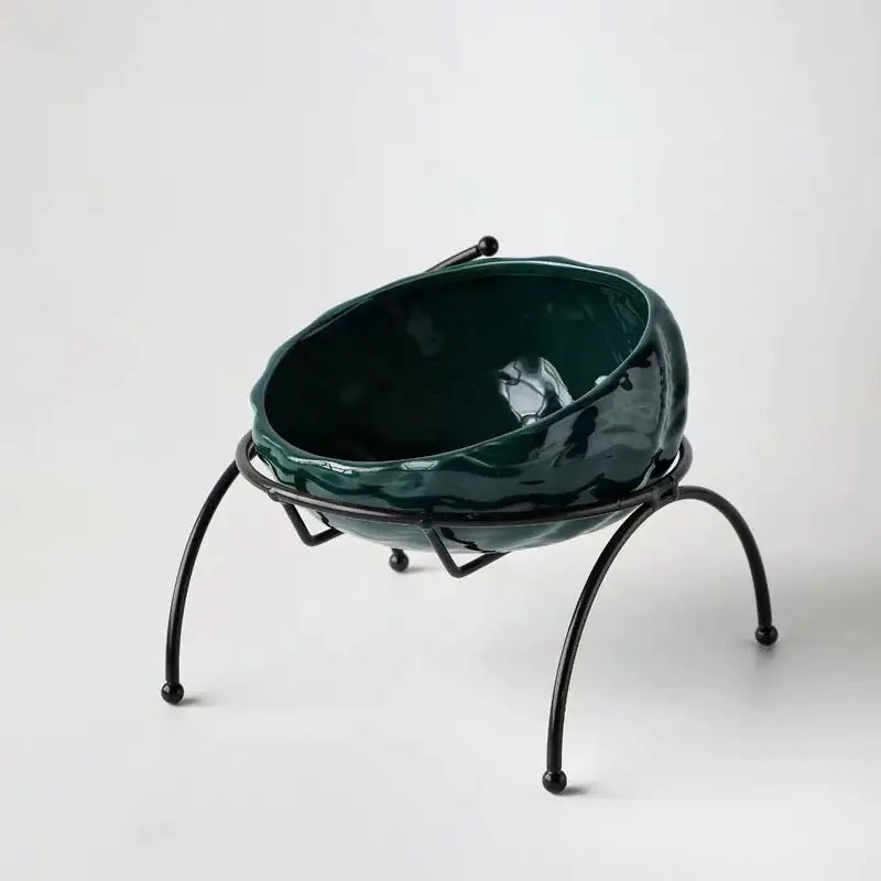 Pet Supplies Elevated Cat and Dog Bowls with Slant Design