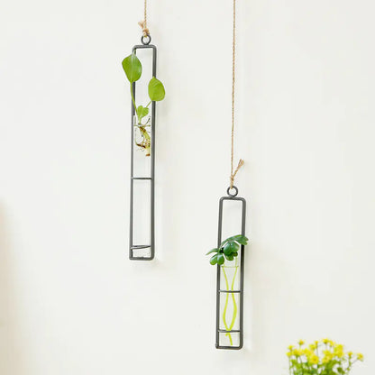 Plant Hydroponic Container and Decorative Hanger