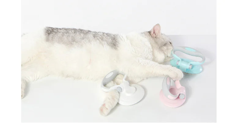 Self-Cleaning Steel Wire Brush for Pets (Dog Grooming Tool)