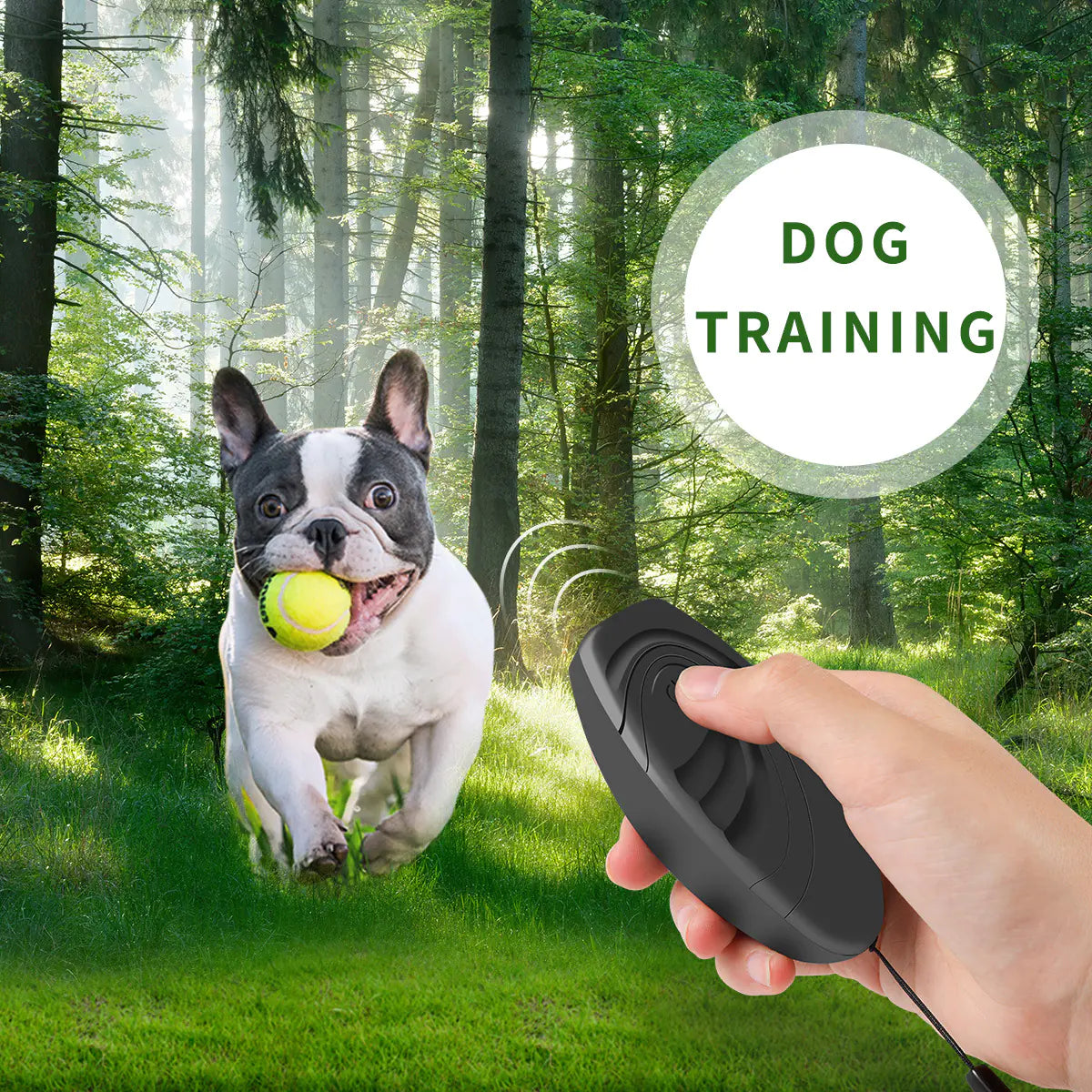 Ultrasonic Dog Repeller and Trainer Device