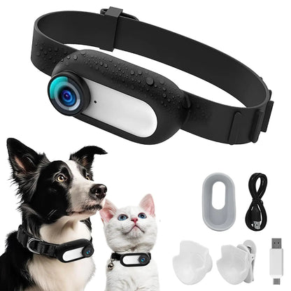 Kestanlora HD 1080P Cat Camera Collar with Video Record Wireless Mini Sport CamSmall Action CamerasBody Camera for Pet Supplies/StuffOutdoor/Inoor Birthday Gift No WiFi
