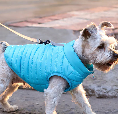 Autumn Winter Nylon Zipper Jacket for Dogs