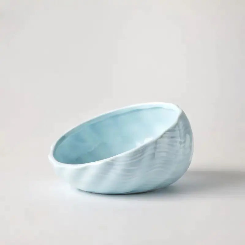 Pet Supplies Elevated Cat and Dog Bowls with Slant Design