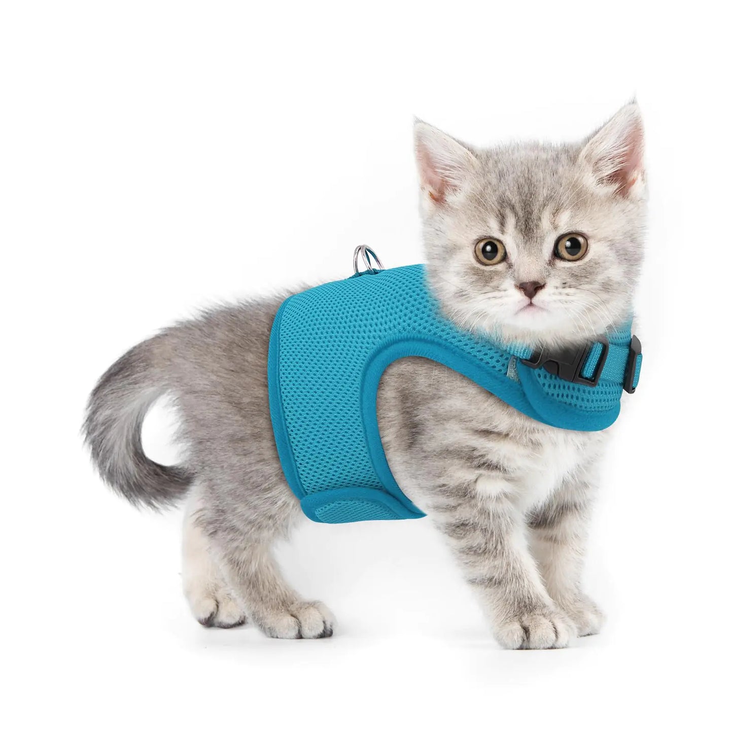 Athena Collection Adjustable Cat Harness with Velcro Portable Extra Small Cat Vest Harness Breathable Comfy Escape Proof Cat Kitten Harness Pet Supplies for Outdoor Walking Training Blue