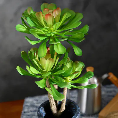 Realistic Rare Succulent Lotus Decor Art Plant