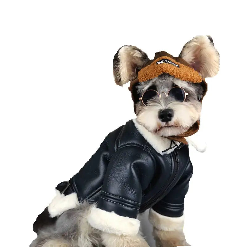 Warm Autumn Dog Clothes with Thick Velvet Material
