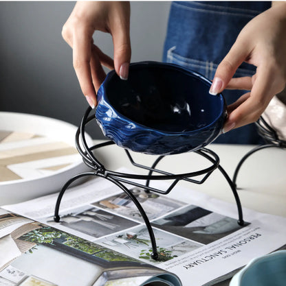 Pet Supplies Elevated Cat and Dog Bowls with Slant Design