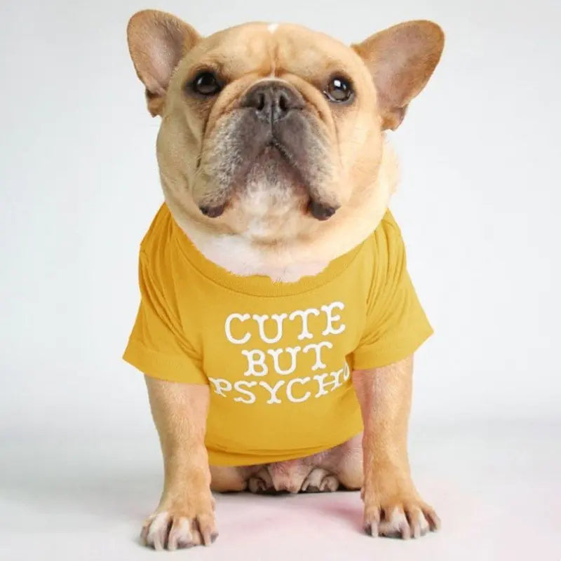 Humorous Turtleneck Round Neck T-shirt for Pets