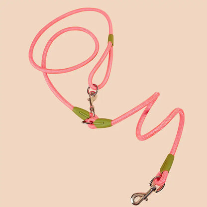 Towing Rope for Walking Dogs with Bite-Proof Chain