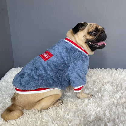 Cozy Pet Sweater for Cold Weather Wear