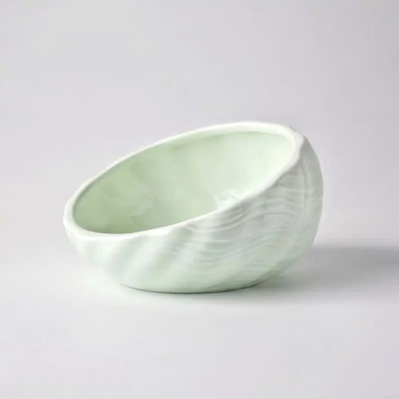 Pet Supplies Elevated Cat and Dog Bowls with Slant Design